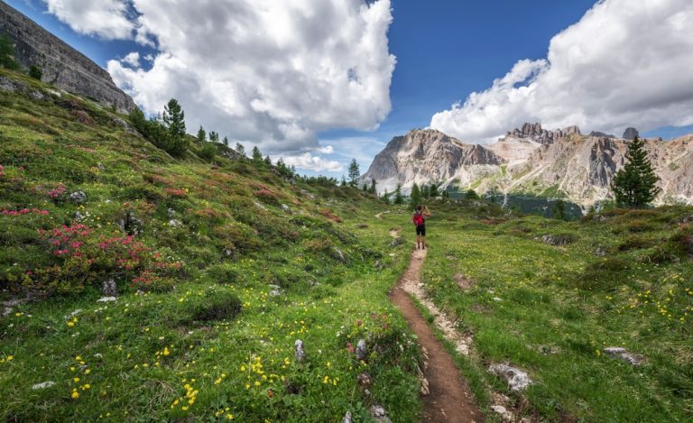 Unleashing the Wild: A Comedic Guide to Surviving the Great Outdoors